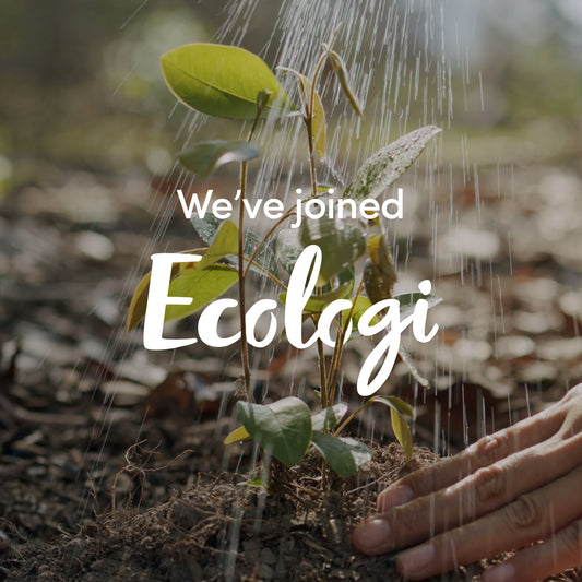We've partnered with Ecologi for a sustainable and greener Future . Maybe you could to ?