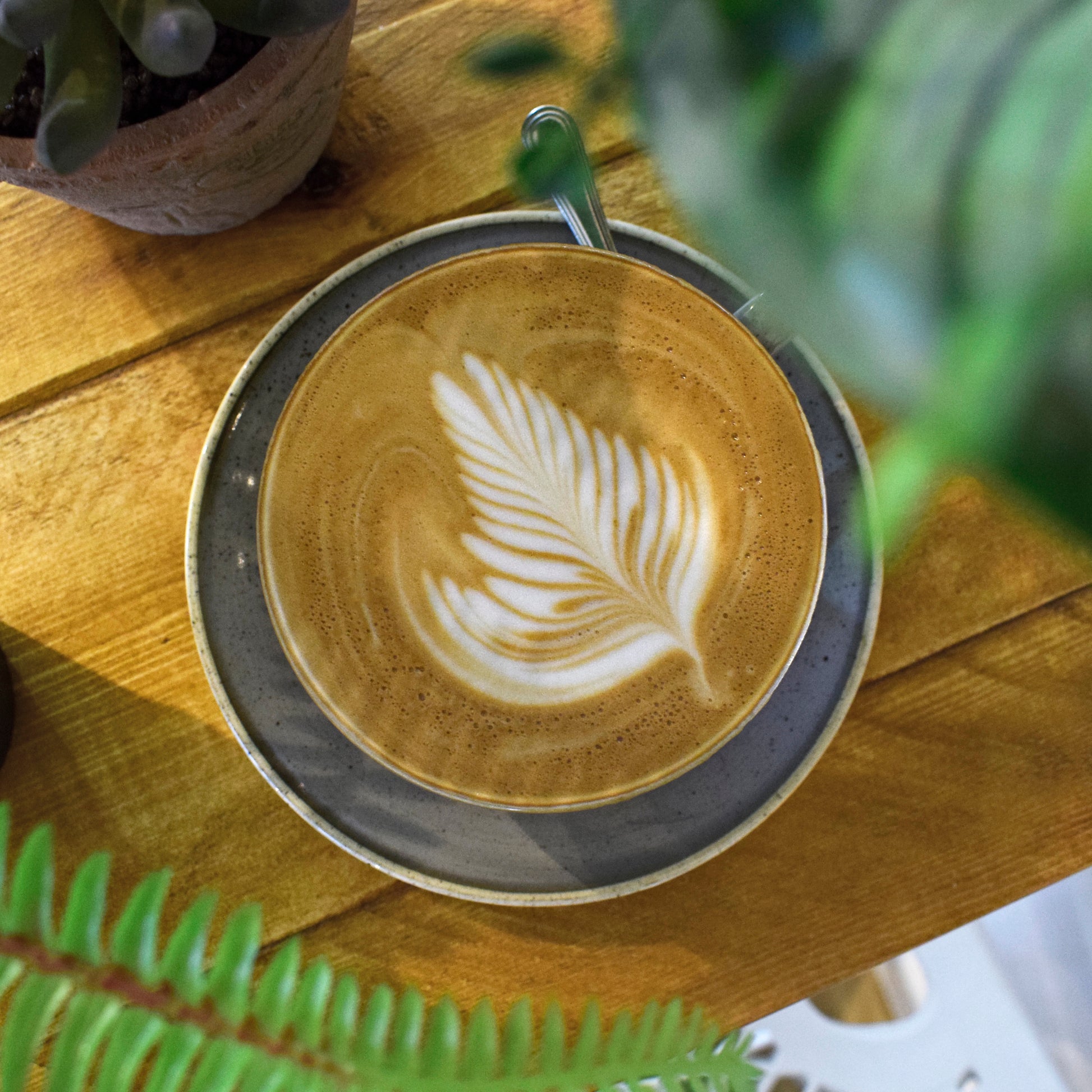 Aerial view of a cup of latte with a leaf-shaped latte art design on a wooden table, surrounded by green plants